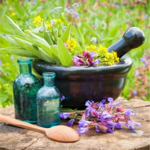 Herbs & Botanicals