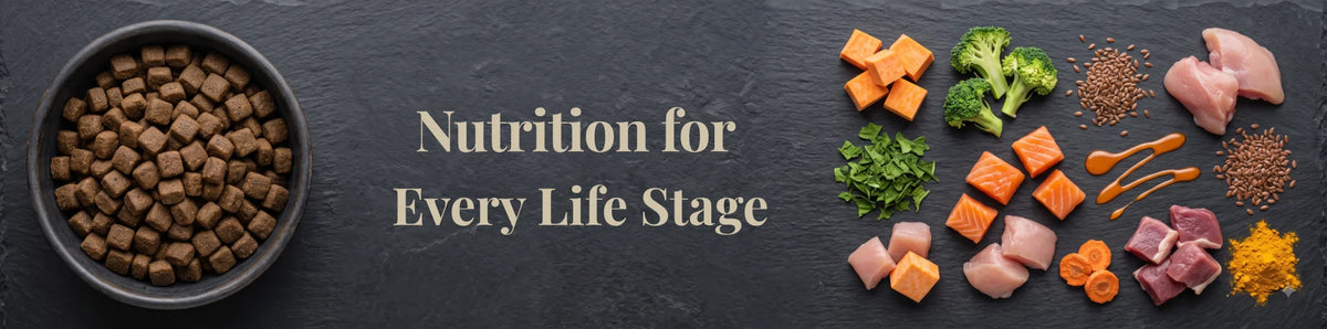 Nádúr dog food and fresh ingredients — nutrition for every life stage