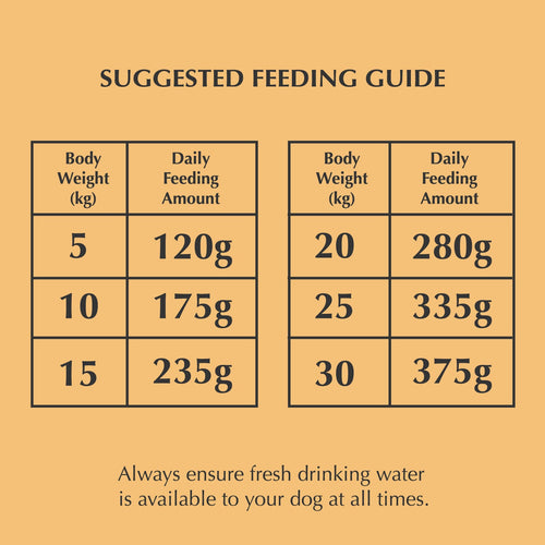 Nadur adult duck dog food - grain-free natural Irish pet food