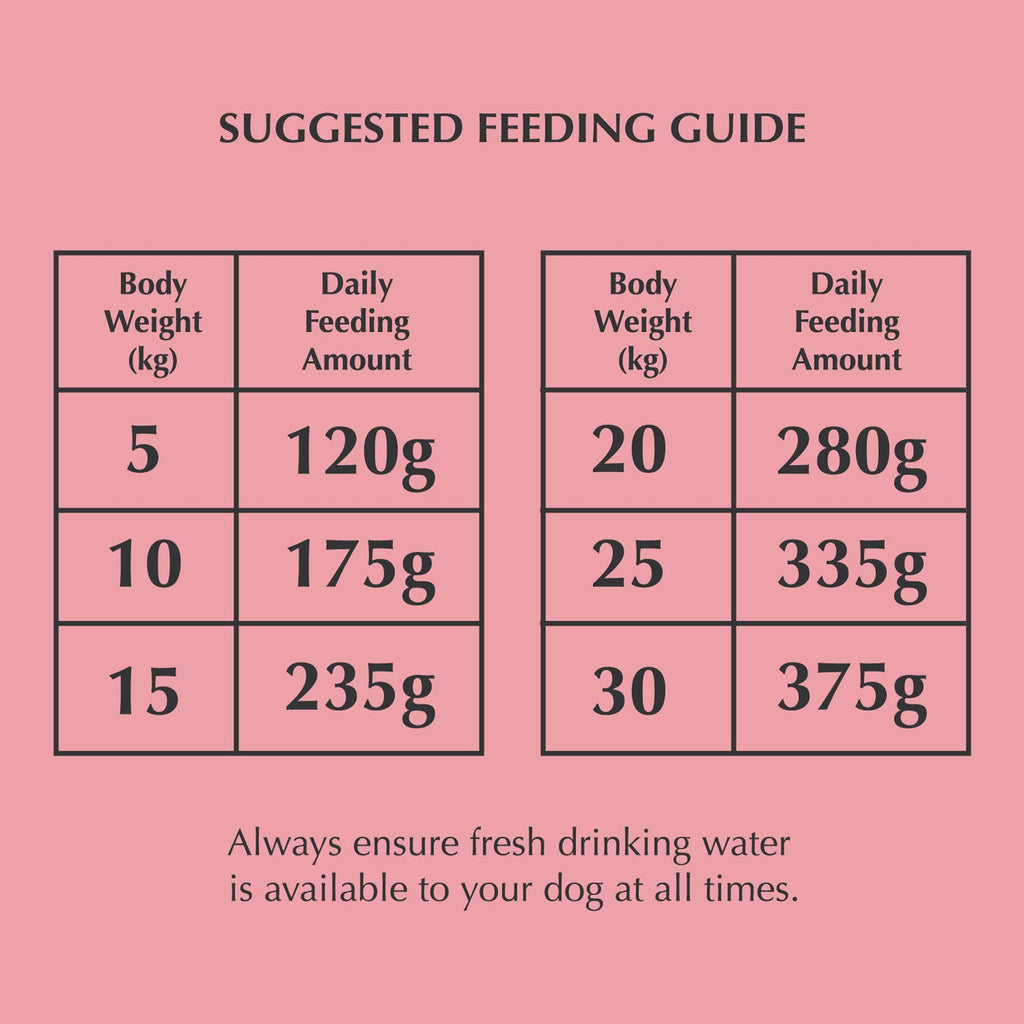 Nadur adult salmon dog food - grain-free natural Irish pet food