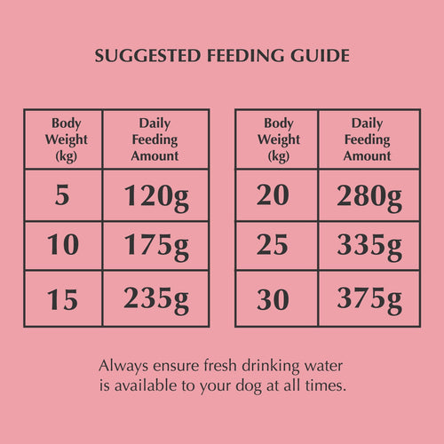 Nadur adult salmon dog food - grain-free natural Irish pet food